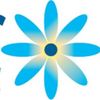 Reidsville Chamber of Commerce