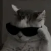 mrpudidi3232