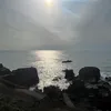mns2jjcic