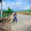 thehoai11