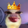 nicsierradeaai