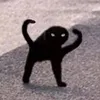 kakiatattaratsurai