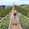 edi_edi233