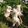ratatata1008