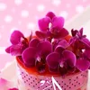 user04clhr6u2q