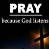 francissienes1
