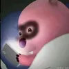 trumcayxang