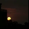 funny4you1102