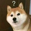 dog_con