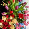 lusya6699