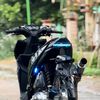 masd3v