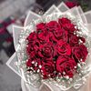 ayaelmabrouk22