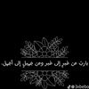 user6946068951838