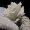 asmaa.mohamed206