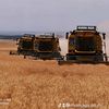 miran_aga_ltd_sti