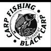 blackcarp7