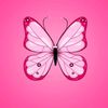 andrea_0778