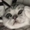 ourlaifu