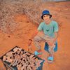 ahmedgahmous0gmail.com0