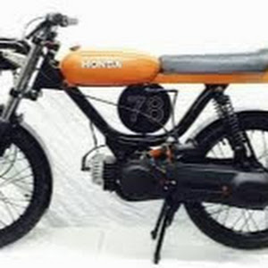greywolf1653