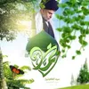 dy3030qbhaif