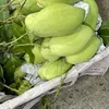 thanhtruyennguyen26