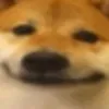 mememasterkris