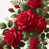 omomaer66