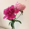 flm_2021