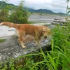 dhangm56