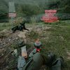 arassetiawan02