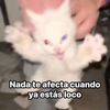 justinrivera095
