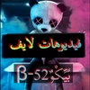 beekoo_b52