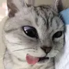 kayeciaa
