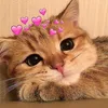 _ngthao_o