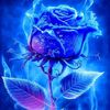 big_kingg12