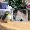 maryalicejunebug