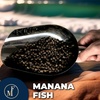 mananafish.uz