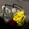 nousername_1624