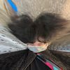 userhello1232