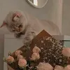 fleur.12340
