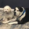 Bubba Jay & Kujo