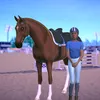 _.equestrian_._the.game