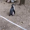 wojtini_2137