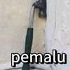 rienolll