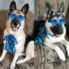 doglovers821