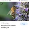 sasha_7373.sa