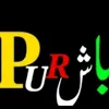 rajapurbash03