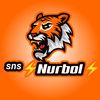 sns_nurbol2010