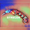 strelokk11